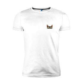 Мужская футболка премиум с принтом Кот в кармашке , 92% хлопок, 8% лайкра | приталенный силуэт, круглый вырез ворота, длина до линии бедра, короткий рукав | в кармане | киса | кот | коты | кошки | подглядывающий