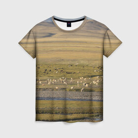 Женская футболка 3D с принтом Долина жизни , 100% полиэфир ( синтетическое хлопкоподобное полотно) | прямой крой, круглый вырез горловины, длина до линии бедер | алтай | горы | долина | камни | пастбище в горной долинеживотные | пески | пустыни | рек