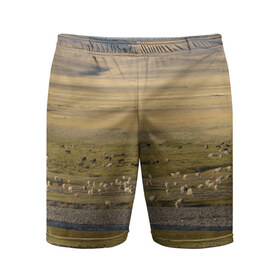 Мужские шорты 3D спортивные с принтом Долина жизни ,  |  | алтай | горы | долина | камни | пастбище в горной долинеживотные | пески | пустыни | рек