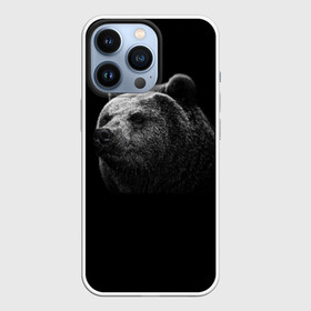 Чехол для iPhone 13 Pro с принтом Мишка ,  |  | медведь