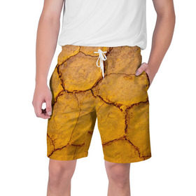 Мужские шорты 3D с принтом Earth ,  полиэстер 100% | прямой крой, два кармана без застежек по бокам. Мягкая трикотажная резинка на поясе, внутри которой широкие завязки. Длина чуть выше колен | природа