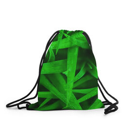 Рюкзак-мешок 3D с принтом Трава , 100% полиэстер | плотность ткани — 200 г/м2, размер — 35 х 45 см; лямки — толстые шнурки, застежка на шнуровке, без карманов и подкладки | Тематика изображения на принте: зеленый | макро | яркий