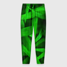 Мужские брюки 3D с принтом Трава , 100% полиэстер | манжеты по низу, эластичный пояс регулируется шнурком, по бокам два кармана без застежек, внутренняя часть кармана из мелкой сетки | Тематика изображения на принте: зеленый | макро | яркий