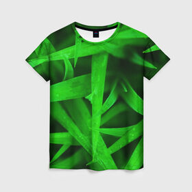 Женская футболка 3D с принтом Трава , 100% полиэфир ( синтетическое хлопкоподобное полотно) | прямой крой, круглый вырез горловины, длина до линии бедер | Тематика изображения на принте: зеленый | макро | яркий