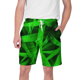 Мужские шорты 3D с принтом Трава ,  полиэстер 100% | прямой крой, два кармана без застежек по бокам. Мягкая трикотажная резинка на поясе, внутри которой широкие завязки. Длина чуть выше колен | Тематика изображения на принте: зеленый | макро | яркий