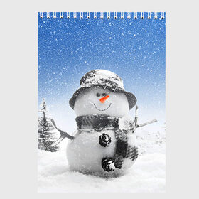Скетчбук с принтом Снеговик , 100% бумага
 | 48 листов, плотность листов — 100 г/м2, плотность картонной обложки — 250 г/м2. Листы скреплены сверху удобной пружинной спиралью | 2016 | winter | год | зима | мартышка | новогодний | новый | обезьяна | обезьянка | подарок | с новым годом | снег | снеговик