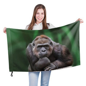 Флаг 3D с принтом Обезьяна , 100% полиэстер | плотность ткани — 95 г/м2, размер — 67 х 109 см. Принт наносится с одной стороны | 2016 | мартышка | обезьяна | с новым годом | символ нг
