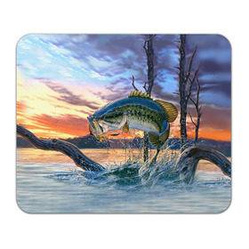 Коврик прямоугольный с принтом Рыба , натуральный каучук | размер 230 х 185 мм; запечатка лицевой стороны | fishing | рыба | рыбак | рыбалка | туризм
