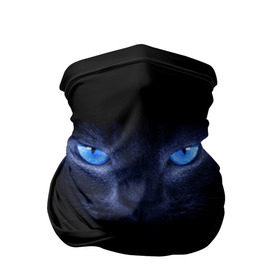 Бандана-труба 3D с принтом Кошка с голубыми глазами , 100% полиэстер, ткань с особыми свойствами — Activecool | плотность 150‒180 г/м2; хорошо тянется, но сохраняет форму | Тематика изображения на принте: глаза | кот | синий