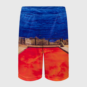 Детские спортивные шорты 3D с принтом Red Hot Chili Peppers ,  100% полиэстер
 | пояс оформлен широкой мягкой резинкой, ткань тянется
 | chili | heavy | hot | metal | peppers | red | rhcp | rock | trash | кидис | метал | рок | хеви | энтони