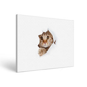 Холст прямоугольный с принтом Котик , 100% ПВХ |  | кот | котенок | котик | кошка | милый