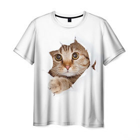 Мужская футболка 3D с принтом Котик , 100% полиэфир | прямой крой, круглый вырез горловины, длина до линии бедер | кот | котенок | котик | кошка | милый