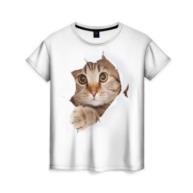 Женская футболка 3D с принтом Котик , 100% полиэфир ( синтетическое хлопкоподобное полотно) | прямой крой, круглый вырез горловины, длина до линии бедер | кот | котенок | котик | кошка | милый