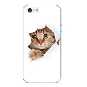 Чехол для iPhone 5/5S матовый с принтом Котик , Силикон | Область печати: задняя сторона чехла, без боковых панелей | кот | котенок | котик | кошка | милый