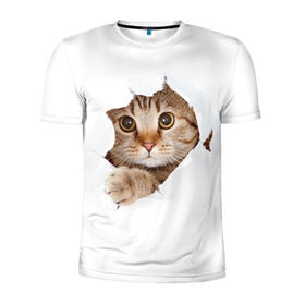 Мужская футболка 3D спортивная с принтом Котик , 100% полиэстер с улучшенными характеристиками | приталенный силуэт, круглая горловина, широкие плечи, сужается к линии бедра | кот | котенок | котик | кошка | милый