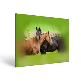 Холст прямоугольный с принтом Лошади 2 , 100% ПВХ |  | horse | horseshoe | акварель | головалошади | грива | единорог | жеребец | животные | конь | лошадь | лошадьскрыльями | подкова | природа | рисуноккрасками