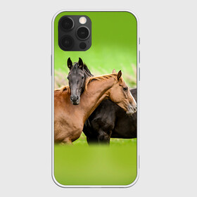 Чехол для iPhone 12 Pro с принтом Лошади 2 , силикон | область печати: задняя сторона чехла, без боковых панелей | horse | horseshoe | акварель | головалошади | грива | единорог | жеребец | животные | конь | лошадь | лошадьскрыльями | подкова | природа | рисуноккрасками