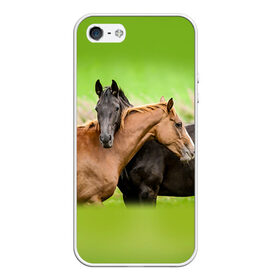 Чехол для iPhone 5/5S матовый с принтом Лошади 2 , Силикон | Область печати: задняя сторона чехла, без боковых панелей | horse | horseshoe | акварель | головалошади | грива | единорог | жеребец | животные | конь | лошадь | лошадьскрыльями | подкова | природа | рисуноккрасками
