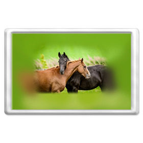 Магнит 45*70 с принтом Лошади 2 , Пластик | Размер: 78*52 мм; Размер печати: 70*45 | horse | horseshoe | акварель | головалошади | грива | единорог | жеребец | животные | конь | лошадь | лошадьскрыльями | подкова | природа | рисуноккрасками