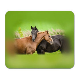 Коврик прямоугольный с принтом Лошади 2 , натуральный каучук | размер 230 х 185 мм; запечатка лицевой стороны | horse | horseshoe | акварель | головалошади | грива | единорог | жеребец | животные | конь | лошадь | лошадьскрыльями | подкова | природа | рисуноккрасками