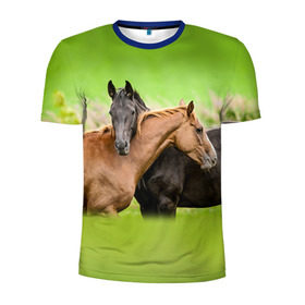 Мужская футболка 3D спортивная с принтом Лошади 2 , 100% полиэстер с улучшенными характеристиками | приталенный силуэт, круглая горловина, широкие плечи, сужается к линии бедра | horse | horseshoe | акварель | головалошади | грива | единорог | жеребец | животные | конь | лошадь | лошадьскрыльями | подкова | природа | рисуноккрасками