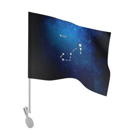 Флаг для автомобиля с принтом Скорпион , 100% полиэстер | Размер: 30*21 см | скорпион