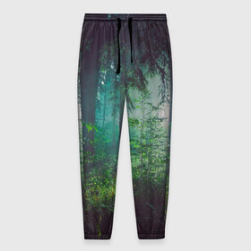 Мужские брюки 3D с принтом Таинственный лес , 100% полиэстер | манжеты по низу, эластичный пояс регулируется шнурком, по бокам два кармана без застежек, внутренняя часть кармана из мелкой сетки | деревья | зелень | на макете изображен таинственный зеленый леслес