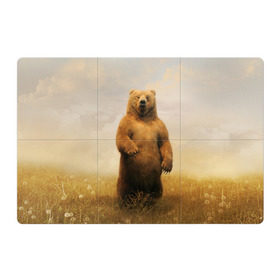 Магнитный плакат 3Х2 с принтом Медведь в поле , Полимерный материал с магнитным слоем | 6 деталей размером 9*9 см | Тематика изображения на принте: bear | медведь | одуванчики | русский медведь в чистом русском поле мечта патриотаполе | сено