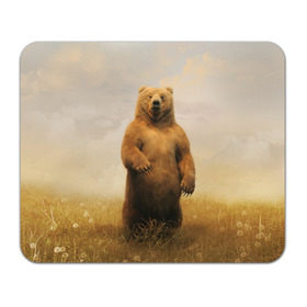 Коврик прямоугольный с принтом Медведь в поле , натуральный каучук | размер 230 х 185 мм; запечатка лицевой стороны | Тематика изображения на принте: bear | медведь | одуванчики | русский медведь в чистом русском поле мечта патриотаполе | сено