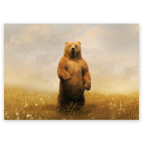 Поздравительная открытка с принтом Медведь в поле , 100% бумага | плотность бумаги 280 г/м2, матовая, на обратной стороне линовка и место для марки
 | Тематика изображения на принте: bear | медведь | одуванчики | русский медведь в чистом русском поле мечта патриотаполе | сено