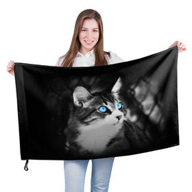 Флаг 3D с принтом Кот , 100% полиэстер | плотность ткани — 95 г/м2, размер — 67 х 109 см. Принт наносится с одной стороны | взгляд | глаза | голубые | кот