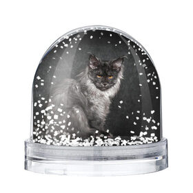 Водяной шар с принтом Кот , Пластик | Изображение внутри шара печатается на глянцевой фотобумаге с двух сторон | домашняя | животное | кот | котэ | кошка
