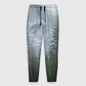 Мужские брюки 3D с принтом лес , 100% полиэстер | манжеты по низу, эластичный пояс регулируется шнурком, по бокам два кармана без застежек, внутренняя часть кармана из мелкой сетки | лес | мгла | мрачность | темнота | туман