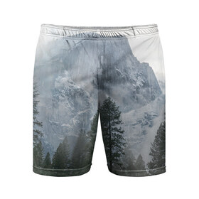 Мужские шорты 3D спортивные с принтом лес ,  |  | лес | мгла | мрачность | темнота | туман