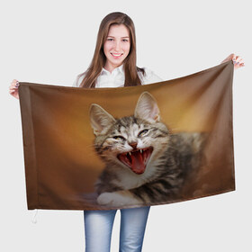 Флаг 3D с принтом Кот , 100% полиэстер | плотность ткани — 95 г/м2, размер — 67 х 109 см. Принт наносится с одной стороны | домашняя | животное | кот | котэ | кошка