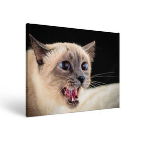 Холст прямоугольный с принтом Кот , 100% ПВХ |  | Тематика изображения на принте: домашняя | животное | кот | котэ | кошка