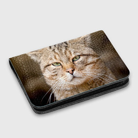 Картхолдер с принтом с принтом Кот , натуральная матовая кожа | размер 7,3 х 10 см; кардхолдер имеет 4 кармана для карт; | дикий | животное | кот | котэ | кошка