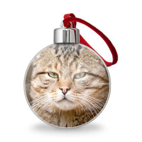 Ёлочный шар с принтом Кот , Пластик | Диаметр: 77 мм | дикий | животное | кот | котэ | кошка