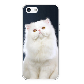 Чехол силиконовый для Телефон Apple iPhone 5/5S с принтом Кот , Силикон | Область печати: задняя сторона чехла, без боковых панелей | домашняя | животное | кот | котэ | кошка