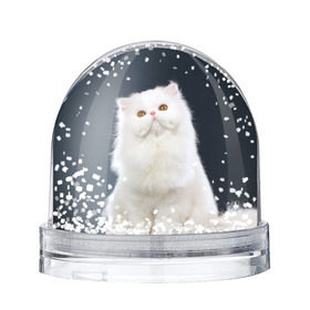 Водяной шар с принтом Кот , Пластик | Изображение внутри шара печатается на глянцевой фотобумаге с двух сторон | Тематика изображения на принте: домашняя | животное | кот | котэ | кошка