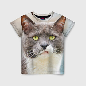 Детская футболка 3D с принтом Кот , 100% гипоаллергенный полиэфир | прямой крой, круглый вырез горловины, длина до линии бедер, чуть спущенное плечо, ткань немного тянется | домашняя | животное | кот | котэ | кошка