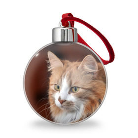 Ёлочный шар с принтом Кот , Пластик | Диаметр: 77 мм | домашняя | животное | кот | котэ | кошка