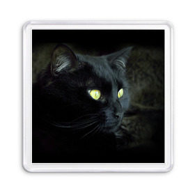 Магнит 55*55 с принтом Черный , Пластик | Размер: 65*65 мм; Размер печати: 55*55 мм | домашняя | животное | кот | котэ | кошка | черный