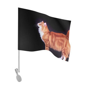Флаг для автомобиля с принтом Рыжий кот , 100% полиэстер | Размер: 30*21 см | домашняя | животное | кот | котэ | кошка | рыжая