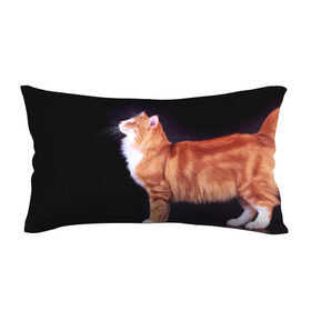 Подушка 3D антистресс с принтом Рыжий кот , наволочка — 100% полиэстер, наполнитель — вспененный полистирол | состоит из подушки и наволочки на молнии | Тематика изображения на принте: домашняя | животное | кот | котэ | кошка | рыжая