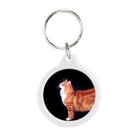 Брелок круглый с принтом Рыжий кот , пластик и полированная сталь | круглая форма, металлическое крепление в виде кольца | Тематика изображения на принте: домашняя | животное | кот | котэ | кошка | рыжая