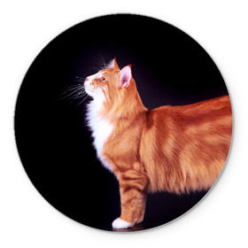 Коврик круглый с принтом Рыжий кот , резина и полиэстер | круглая форма, изображение наносится на всю лицевую часть | домашняя | животное | кот | котэ | кошка | рыжая