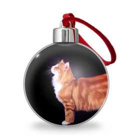 Ёлочный шар с принтом Рыжий кот , Пластик | Диаметр: 77 мм | Тематика изображения на принте: домашняя | животное | кот | котэ | кошка | рыжая