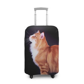 Чехол для чемодана 3D с принтом Рыжий кот , 86% полиэфир, 14% спандекс | двустороннее нанесение принта, прорези для ручек и колес | Тематика изображения на принте: домашняя | животное | кот | котэ | кошка | рыжая