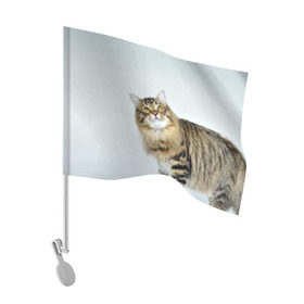Флаг для автомобиля с принтом Кот , 100% полиэстер | Размер: 30*21 см | домашняя | животное | кот | котэ | кошка